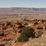 Un canyon sulla strada